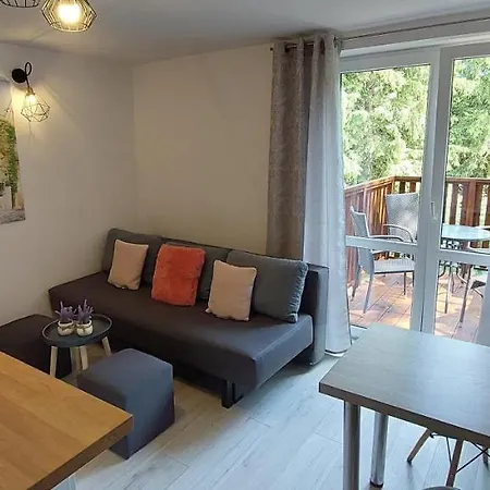Apartment Przy Lesie