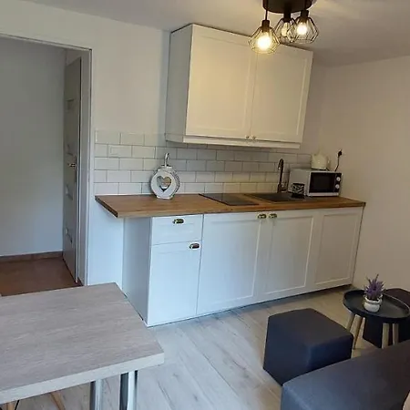 Przy Lesie Apartment Karpacz