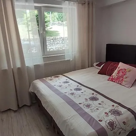 Przy Lesie Apartmán