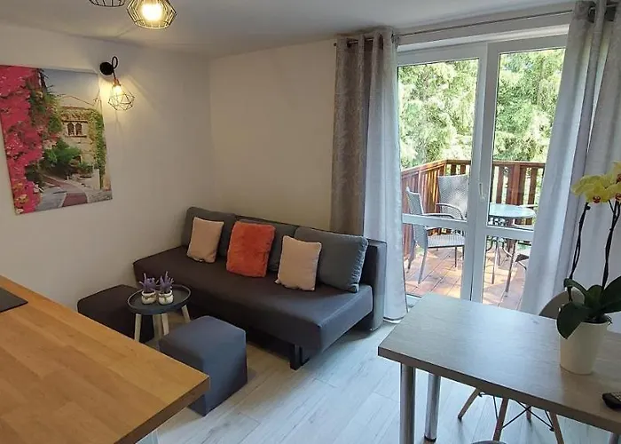 Apartment Przy Lesie